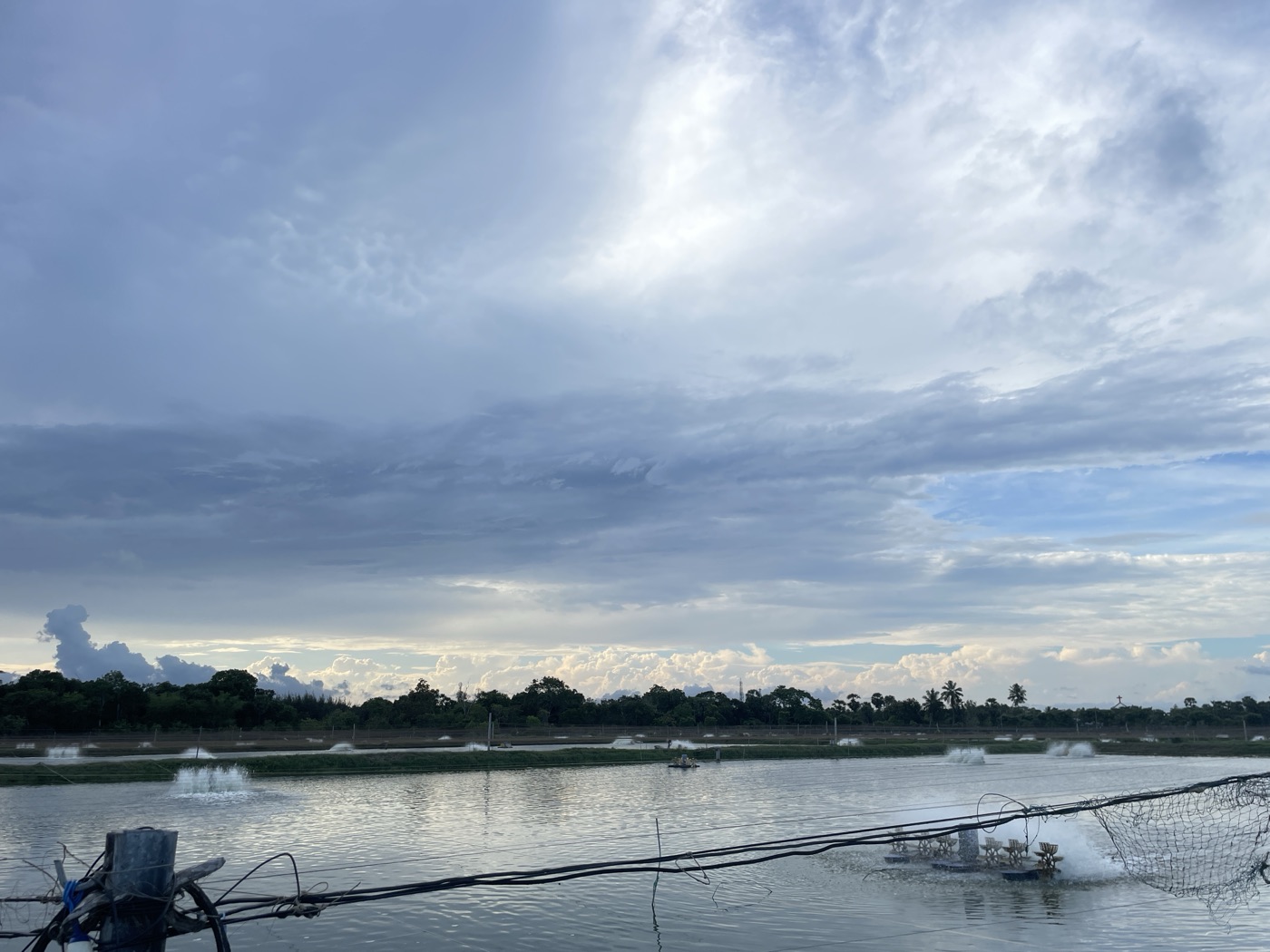 Paddlewheel aerators running across the ponds at dusk