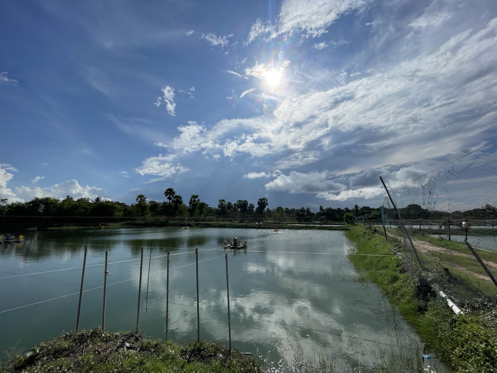 Aerated grow-out ponds at CPR Aqua Farms under an open sky