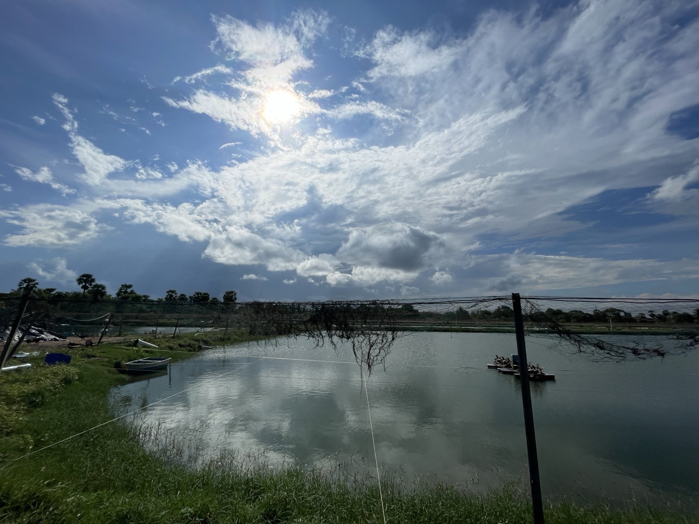 Cloud reflections on a still pond at CPR Aqua Farms